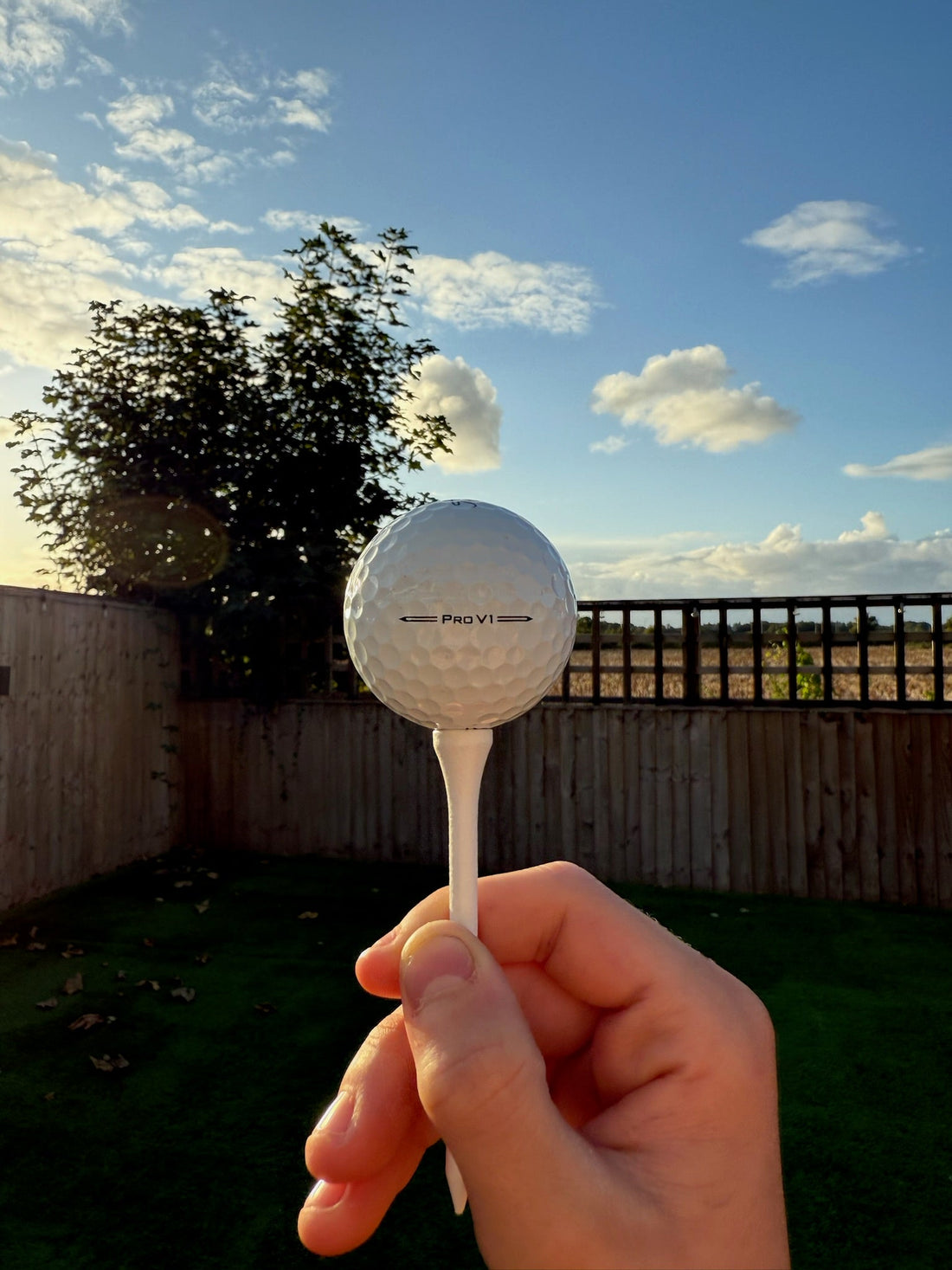 How Lake Golf Balls Are Recovered, Cleaned and Graded in the UK